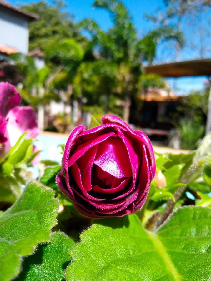Jardim Secreto Guest House Armacao dos Buzios Экстерьер фото